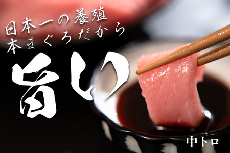 【高知県大月町産 本マグロ】 中トロ300g