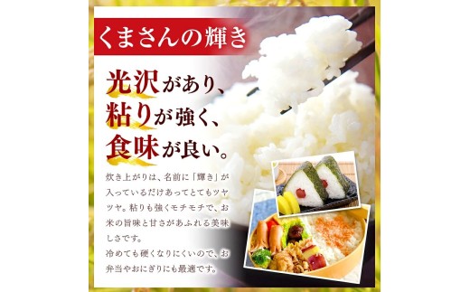 【 定期便 12回 】R8年産 熊本県産 白米 くまさんの輝き 10kg