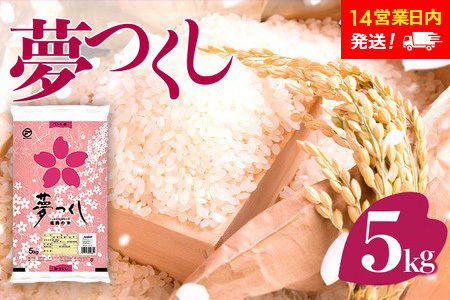 米 令和６年産 福岡県産 夢つくし 5kg  【14営業日以内に発送】CY001