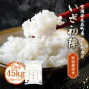 【ふるさと納税】定期便 特別栽培米 令和6年丸森町産 コシヒカリ｜ いざ初陣 15kg（1kg×15個を3カ月）計45kgお届け 新米 減農薬 東北 宮城 高級 ブランド 米 送料無料 祝い 贈答 入学