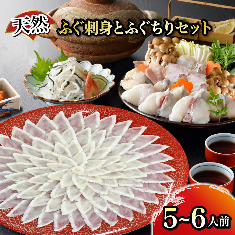 【ふるさと納税】 天然ふぐ刺身 ふぐちりセット 5～6人前 ふぐ てっさ フグ フグ刺し 河豚 関門ふぐ ふぐちり ちり 高級魚 鮮魚 お取り寄せ ギフト 贈答 中元 歳暮 お祝い 記念 下関 山口 【12月24日までのご入金で年内指定可】