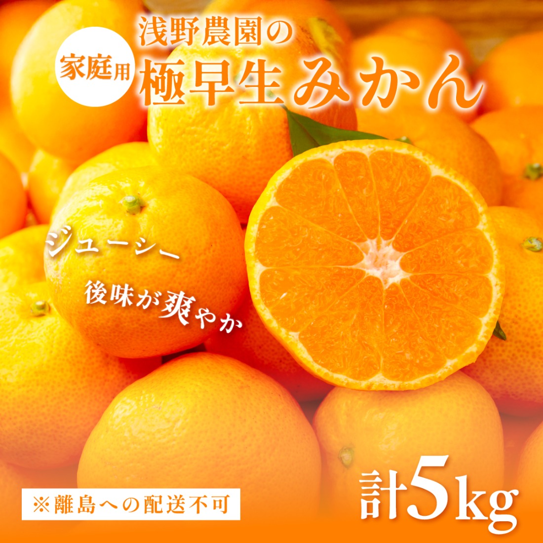 【先行予約】浅野農園の極早生みかん 家庭用5kg ※離島への配送不可（2026年10月上旬～11月中旬頃より順次発送予定）IKTAC012