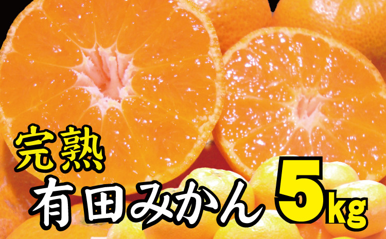 
【2022年冬頃発送予約分】【農家直送】完熟有田みかん 約5kg 有機質肥料100% サイズ混合 先行予約 ※2022年12月上旬～2023年1月下旬に順次発送予定（お届け日指定不可）
