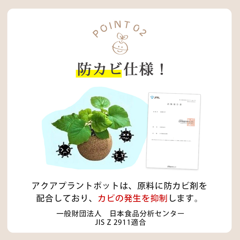 【母の日】アクアプラントポット®　円Ｌ（ブラック） 植木鉢　アガベ（2102）