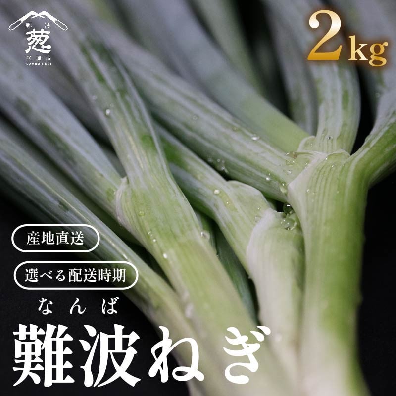 
                  【なにわの甘さ】 難波葱 2kg ねぎ 葱 鍋 青ねぎ 難波ねぎ 難波ネギ 白ねぎ 野菜 旬 ねぎ やさい 新鮮 産地直送 採れたて 直送 ねぎ 葱 フルーツ 果物 フルーツトマト りんご と同糖度 ねぎとろ ネギトロ 丼 ネギ塩 なにわ 伝統野菜 鍋セット ねぎ 水炊き やわらかい 葱 甘い 河内 難波 鍋 冬 春 九条 ねぎ 千住 ネギ ねぎ 国産 大阪府 松原市
                