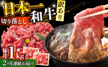 【全2回定期便】【訳あり】【A4～A5】長崎和牛焼肉切り落とし(肩ロース・バラ）　1kg（500g×2p）【株式会社 MEAT PLUS】[DBS045]