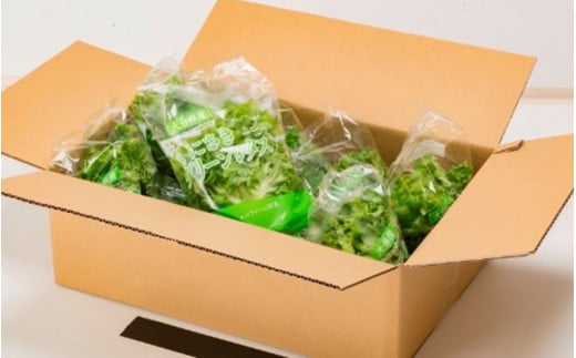 毎月お届け！くにさき太陽のレタス定期便/計12回発送