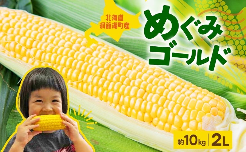 北海道産 青野農園 めぐみ ゴールド 2Lサイズ 約10kg 先行受付 8月下旬頃お届け スイートコーン 北海道 とうもろこし トウモロコシ コーン 恵味 旬 朝採れ 新鮮 野菜 農作物 産地直送 甘い 送料無料 国産 