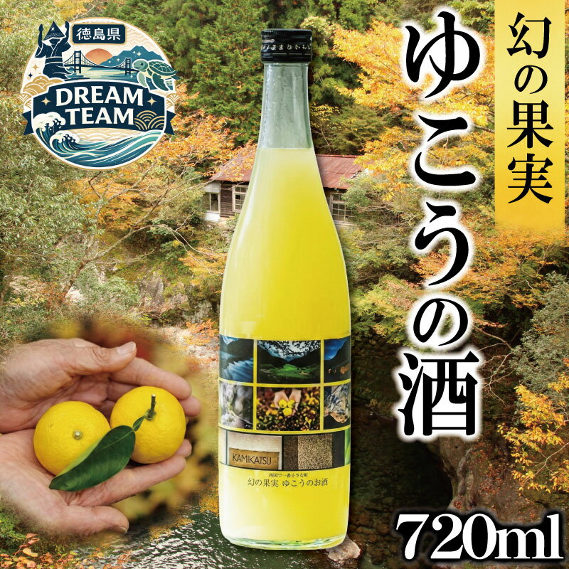 【ふるさと納税】 ゆこうの酒 リキュール 8度 720ml 1本 ゆこう 柚柑 お酒 酒 おさけ さけ sake アルコール 柑橘 柑橘類 フルーツ 果実 果汁 酸味 爽やか 炭酸割り ロック 国産 ギフト 贈答 贈り物 上勝町 徳島県 ドリームチーム