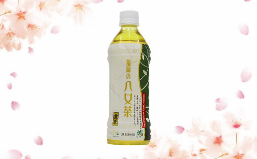 【6ヶ月連続お届け】福岡の八女茶 煎茶ペットボトル（500ml×24本）産地直送