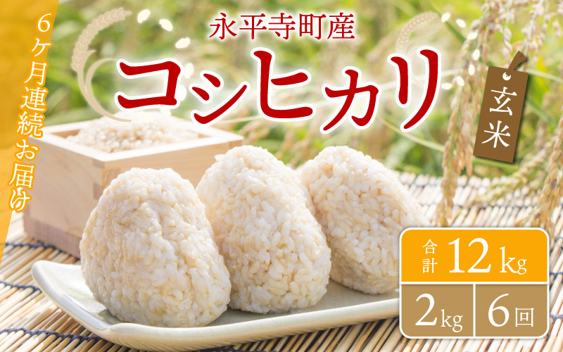 
【6ヶ月連続お届け】【玄米】 令和5年度産 永平寺町産 コシヒカリ 2kg×6ヶ月（計12kg） [C-033074]
