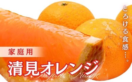 ＜2月より発送＞家庭用 清見2.5kg+250g（傷み補償分）【ikd199B】