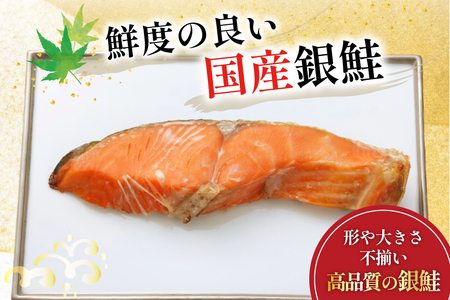 訳あり 国産 減塩 厚切り 塩銀鮭 切身 計 800g 
