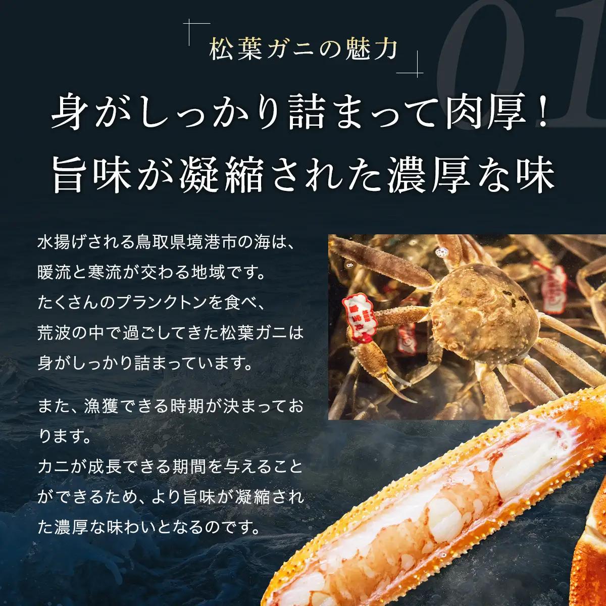 Y1094 【訳あり】活〆ボイル松葉がに2杯（500～700g×2杯）