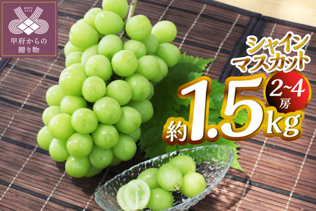 【2025年度配送分】甲府市産　シャインマスカット　約1.5kg（2～4房）