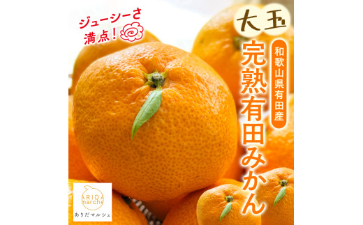 【先行予約】【果汁たっぷり】迫力満点！ 大粒 完熟有田みかん 家庭用 サイズ混合(2L～4L)　約5.2kg(5kg+200g)【2026年11月中旬～1月中旬頃に順次発送予定】【ard225A】