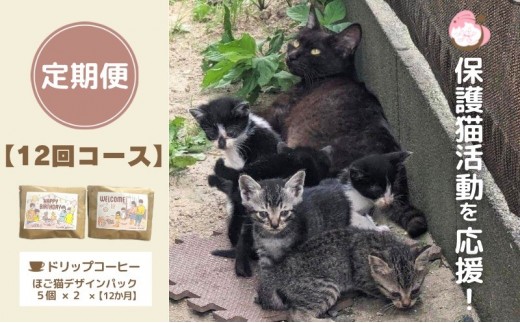 
            定期便 12回 コーヒー 保護猫活動を応援！ ドリップバッグ 10袋×12カ月 珈琲 ドリップコーヒー
          