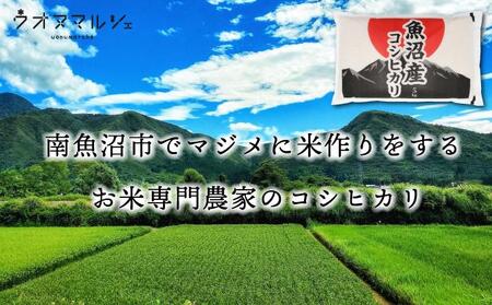 【令和7年産新米予約】【お米定期便/全６回】 おかずのいらない 魚沼産コシヒカリ　無洗米１０ｋｇ【2025年10月上旬より順次発送予定】