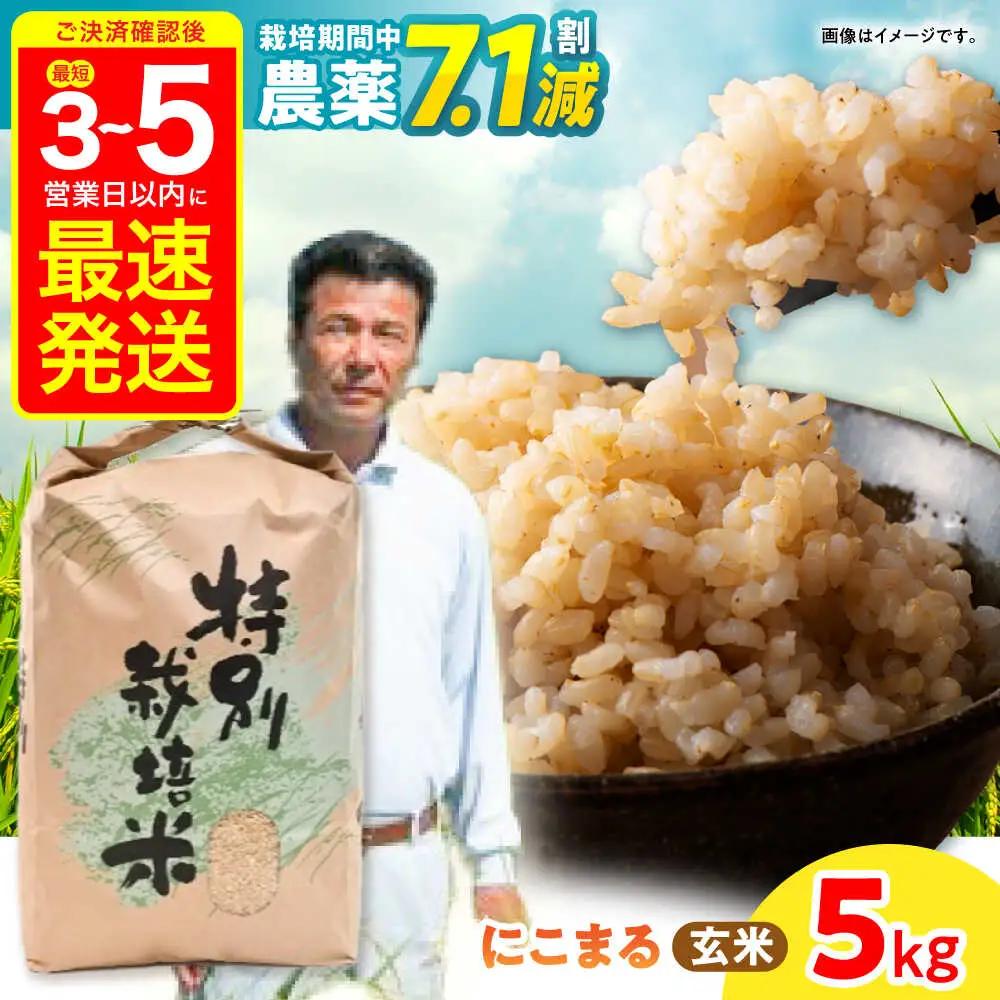 【R7年産】九州のこだわり「にこまる」玄米 5kg / 米 こめ お米 おこめ 玄米 げんまい にこまる ニコマル 長崎県産 / 諫早市 / 上島農産[AHAS013]