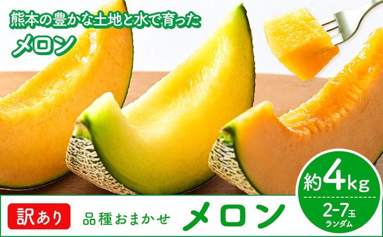 
                  【先行予約】メロン 訳ありメロン 品種おまかせ 約4kg 2-7玉 ランダム 株式会社Foody’s 食彩たかみ《2027年5月下旬-7月下旬頃出荷》 おまかせ ご家庭用 メロン フルーツ 菊池市産 熊本県産 九州産 冷蔵 送料無料
                