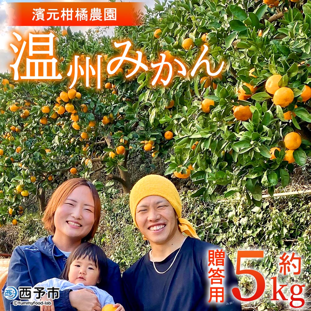 【ふるさと納税】＜明浜産 温州みかん 約5kg 贈答用＞ 愛媛みかん 農家直送 愛媛県産 果物 フルーツ 柑橘 うんしゅうみかん ウンシュウミカン オレンジ 蜜柑 S～Lサイズ 贈答 国産 濱元柑橘農園 西予市【常温】『2025年11月下旬から12月中旬までに順次出荷予定』