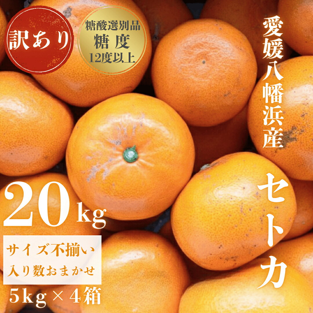 【ふるさと納税】【みかんの大トロ】糖度12.0以上酸1.4以下 糖酸選別品 訳あり愛媛セトカ20kg【H20-76】_【1620330】 YWTI071