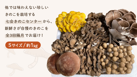 《 全３回 隔月定期便 》 きのこ の 詰め合わせ Sサイズ 約1kg （茨城県共通返礼品 城里町） 定期便 キノコ 舞茸 あわび茸 たもぎ茸 しいたけ ぶなしめじ セット 鍋 炒め物 [CX008s