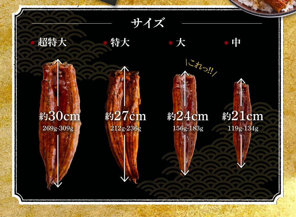 超絶うなぎ蒲焼 大2尾 定期便 6回