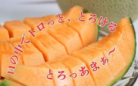 赤肉とろ甘メロン（大） 2玉 【先行予約7月上旬～発送】 メロン