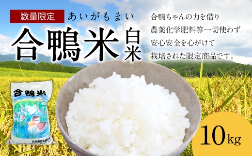 〈令和7年産〉合鴨米 白米 10kg【2025年10月上旬～2026年10月上旬発送予定】