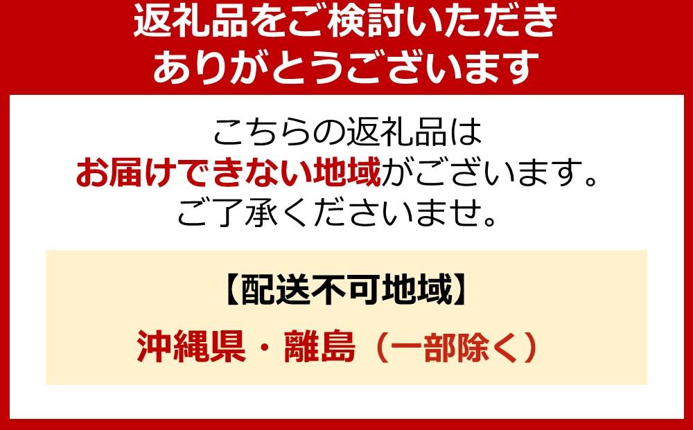 ライオン「NANOX one」ニオイ専用替セット　つめかえ用　280g×12個