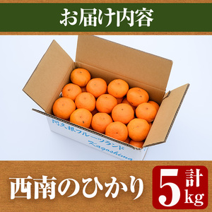 ＜先行予約受付中！2026年12月以降順次発送予定＞＜期間・数量限定＞西南のひかり(約5kg) 国産 鹿児島県 阿久根市 果実 果物 フルーツ 柑橘 みかん ミカン デザート 酸味 甘味 期間限定 数