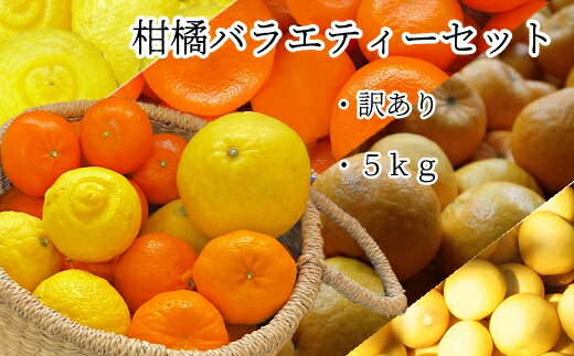 【ふるさと納税】先行予約　令和8年発送　数量限定＜訳あり＞ 柑橘バラエティーセット（5kg） みかん 詰め合わせ ミカン 果物 果実 フルーツ おやつ デザート 健康 美味しい お楽しみ 文旦 ぽんかん はるか 麗紅 高知県 高知 土佐清水 故郷納税 返礼品【R01374】