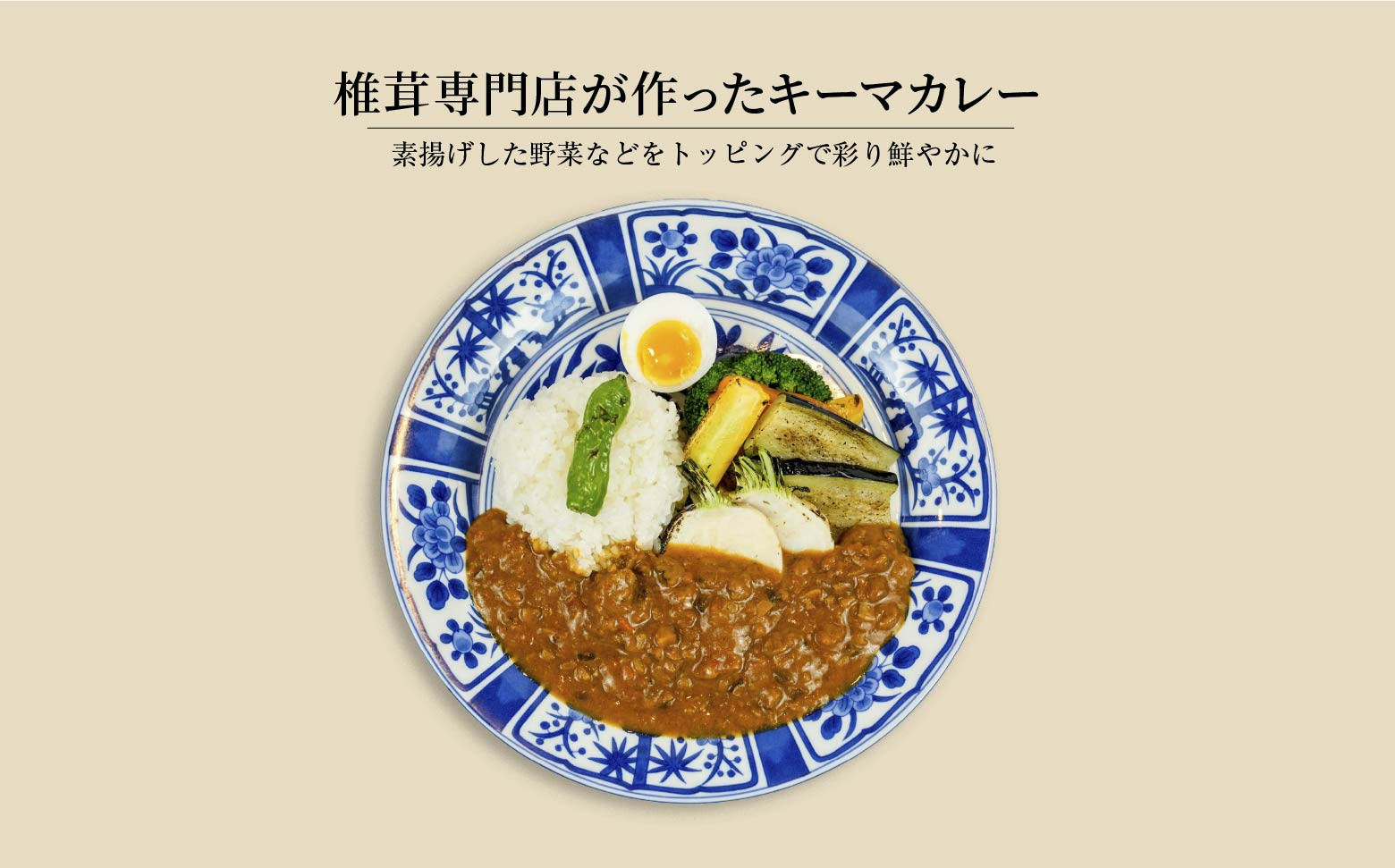 C-13 高千穂の食材カレーセット