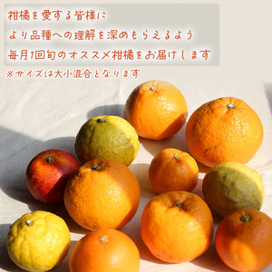 【2026年12月下旬頃から順次発送】 柑橘定期便 5kg × 4回 計20kg 品種おまかせ（ 家庭用 みかん 温州 蜜柑 ミカン 果物 フルーツ 定期便 旬 季節限定 数量限定 NPO法人農音 愛
