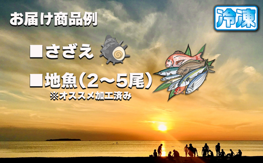 【年6回奇数月】お魚よかろうもん！玄界灘・福津の地魚お楽しみ定期便【冷凍】【随時開始】[G7015]