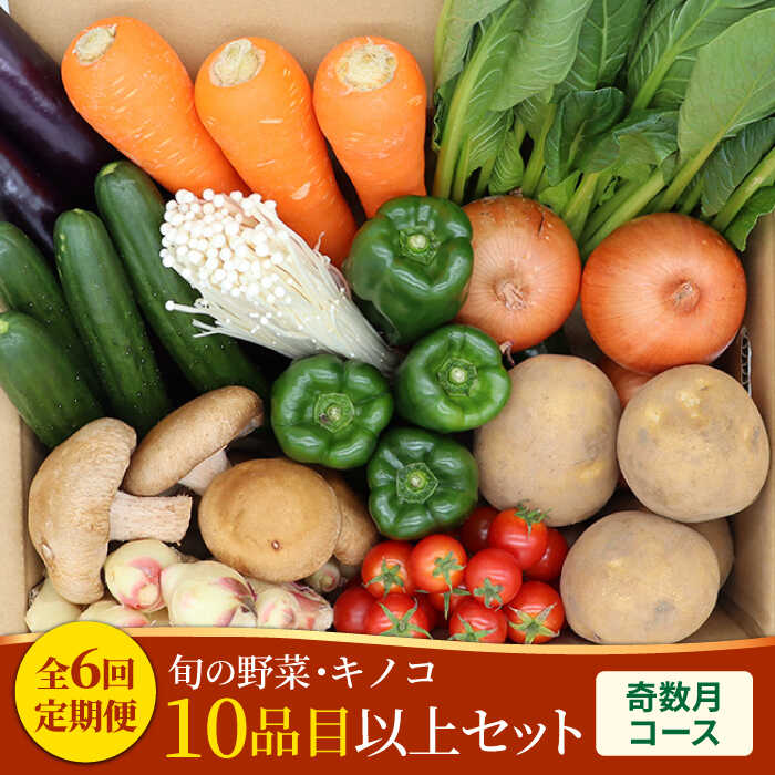 【奇数月コース】野菜 キノコ 10品目以上 詰め合わせ 6回 定期便   / 南島原市 / 吉岡青果 [SCZ005]