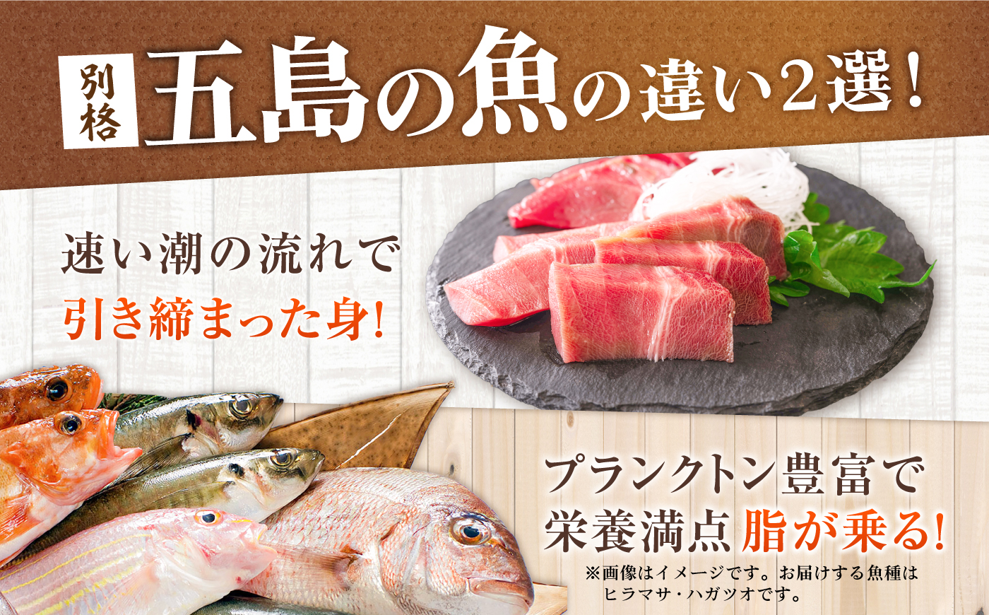 【12回定期便】旬魚のゴトポキ10袋 五島市/金沢鮮魚[PEP063]