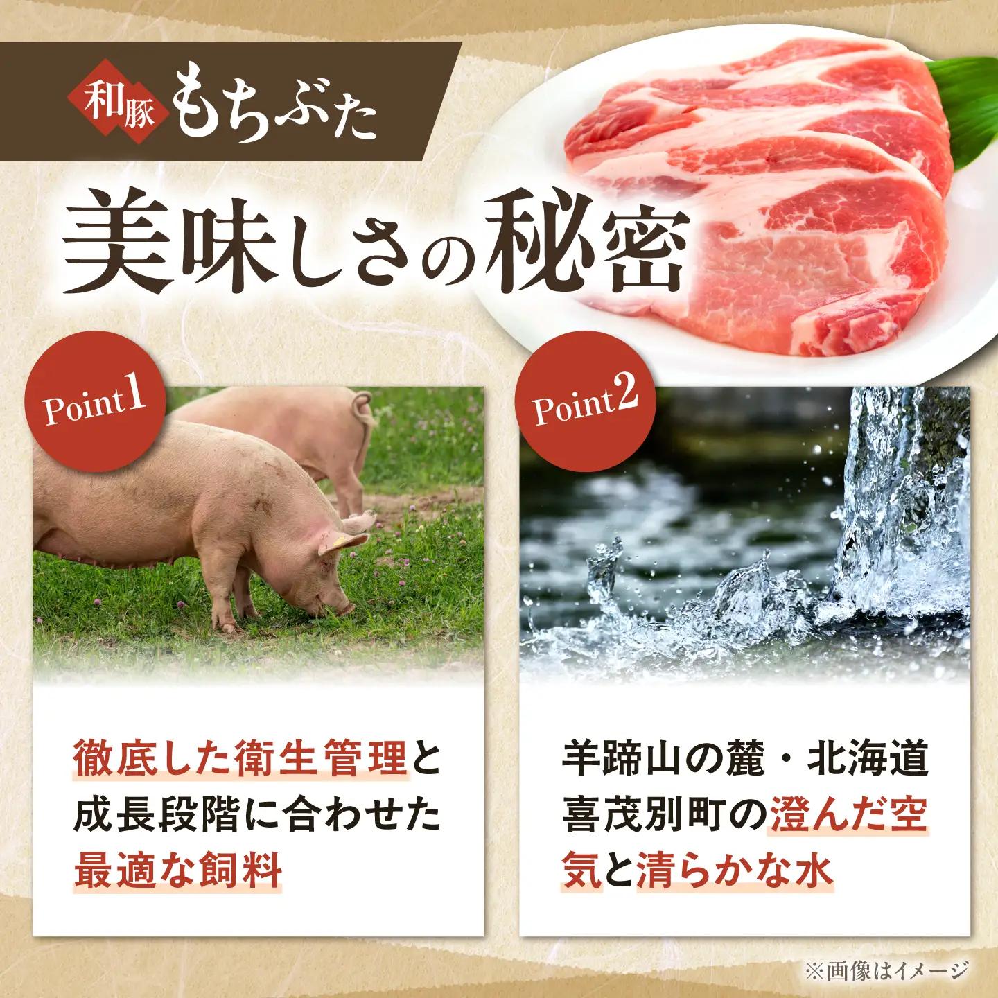 和豚もちぶた しゃぶしゃぶセット 500g×3種 [AJAX001] しゃぶしゃぶセット