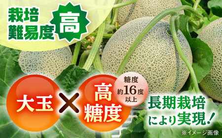 【先行予約】【数量限定】肥後グリーンメロン 1玉 計約2kg 【合同会社 福福堂】[AYAC053]