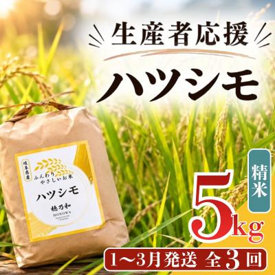 ふるさと納税 羽島市 【発送月固定定期便】【先行予約】生産者応援!岐阜県産ハツシモ(精米)5kg【1〜3月発送】全3回