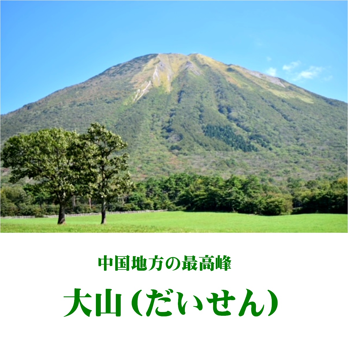  大山Gビール飲み比べ6本セット GB-6