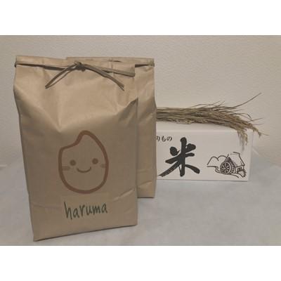 ふるさと納税 赤平市 【先行予約 令和8年産】ほりぐち農園直送のお米 精米したてゆめぴりか 10kg