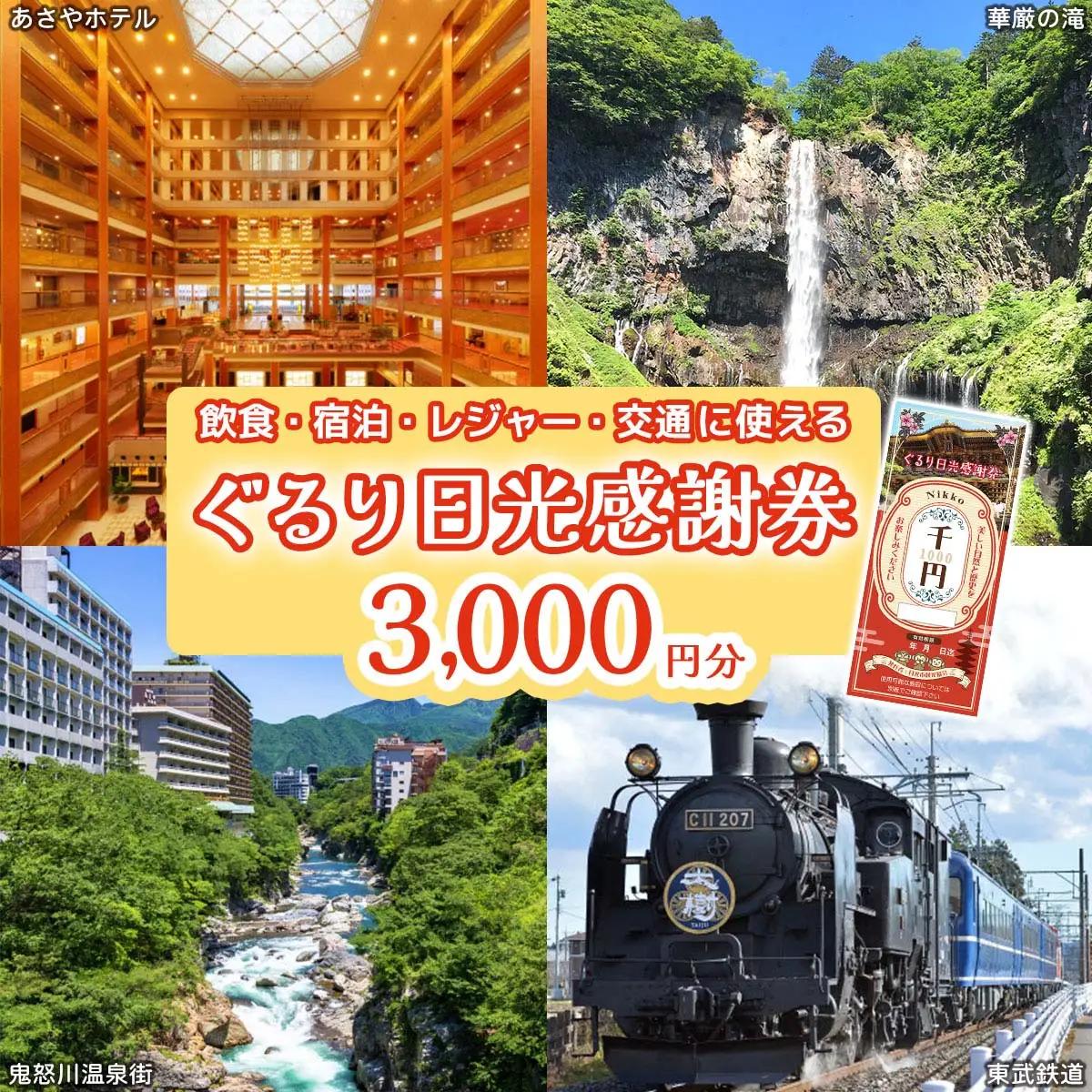 ぐるり日光感謝券【商品券3千円分】｜旅行券 クーポン券 お食事券 旅行 観光 温泉 旅館 ホテル カフェ レジャー施設 地域商品券 チケット 日光市 [0206]