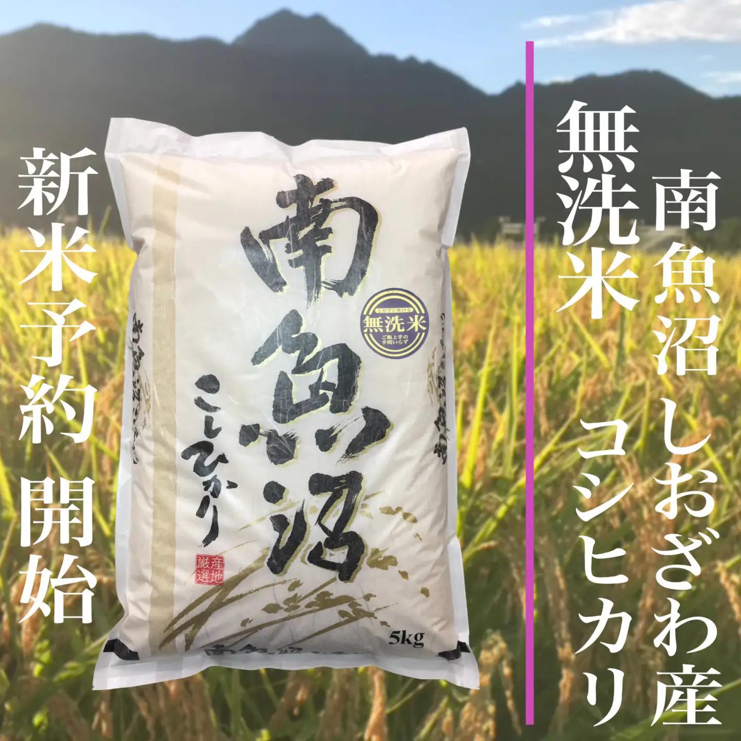 【令和8年　新米予約】定期便★６ヶ月【無洗米】5kg南魚沼しおざわ産コシヒカリ｜無洗米【2026年10月上旬から1ヶ月以内に順次発送予定】