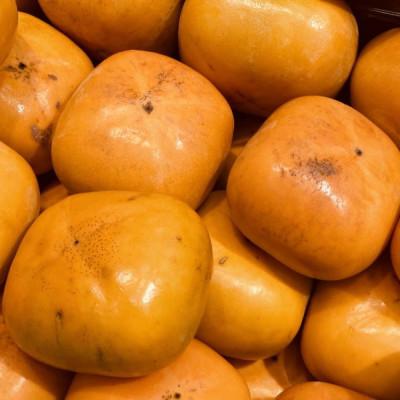 ふるさと納税 九度山町 和歌山産貯蔵たねなし柿化粧箱入り(6玉〜8玉入り)(九度山町) |  | 03