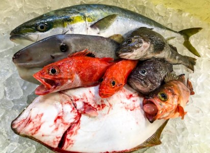 【3月発送開始】おさかなマイスター厳選　冬の魚介類BOX　(M)