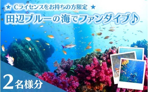 
                  【和歌山 田辺・ファンダイブ／2ボート】大阪から2時間で叶う！田辺ブルーの海♪　2名様 ★Cライセンスお持ちの方限定★ / ダイビング スキューバダイビング ファンダイビング マリンスポーツ 体験 旅行 観光 レジャー アウトドア サンゴ 熱帯魚 水中 癒し 【tds001-2-1】
                