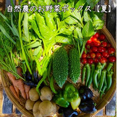 ふるさと納税 小豆島町 【自然農】季節のお野菜セット(約10品)