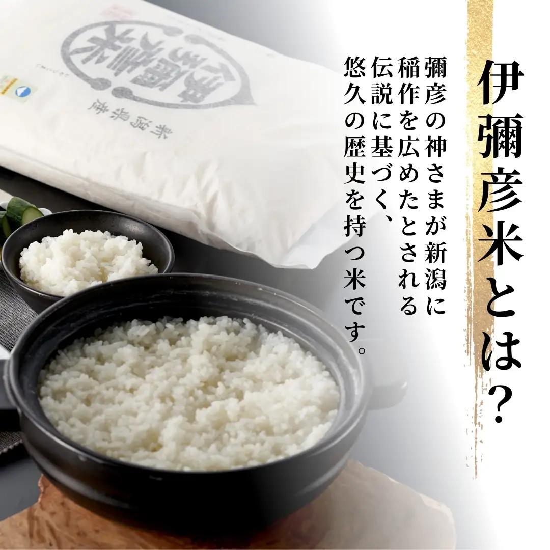 コシヒカリ 令和8年産 新米 先行予約 毎月 定期便 伊彌彦米 10kg(5キロ×2袋) 全6回 | コシヒカリ 特別栽培 新潟県